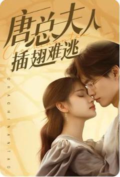 唐总夫人插翅难逃