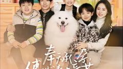 《奉天承孕：傅少请接芷（奉天承孕傅少请接芷）》