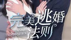 《完美逃婚法则》