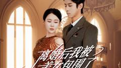 《离婚后，我被美女包围了》