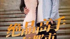 《绝品高手在都市》