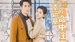 《闪婚幸运草的命中注定》