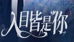 《入目皆是你》