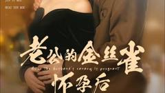 《老公的金丝雀怀孕后》