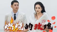 《燃烧的玫瑰》