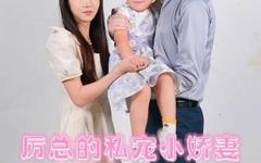 历总的私密小娇妻