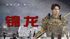 《锦龙》
