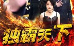 《独霸天下》