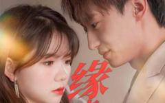 《缘来是你》