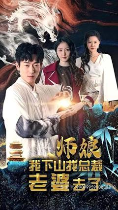 《师娘我下山找总裁老婆了》