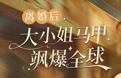 离婚后，大小姐马甲飒爆全球