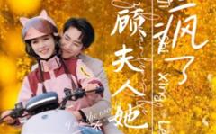 《顾总夫人她赚疯了》