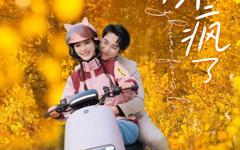 《顾夫人她赚疯了》