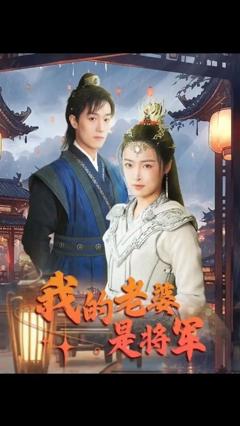 我的老婆是将军