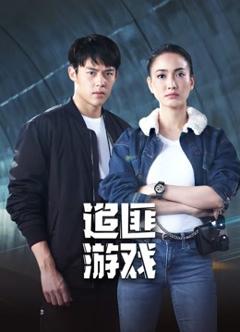 《追匪游戏》