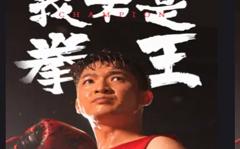 《我不是拳王》
