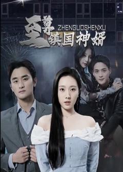 《至尊镇国神婿》