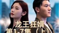 《龙王狂婿》