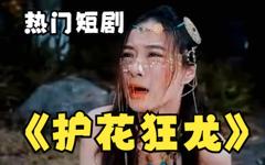 《护花狂龙》