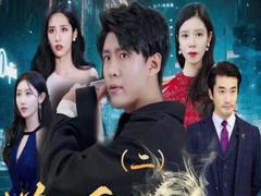 《新版：逆天龙婿》