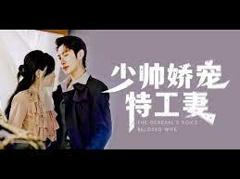 少帅娇宠特工妻
