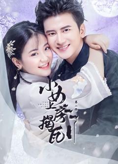 《小女上房揭瓦第二季》