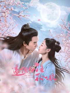 《这个公主不一般》