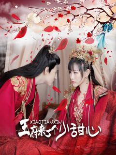 《王府来了一个小甜心》