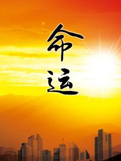 《命运》