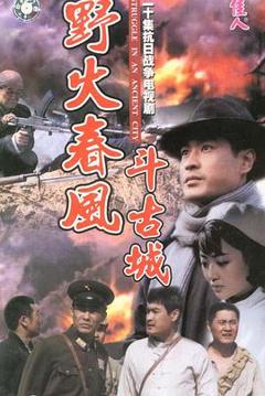《野火春风斗古城》