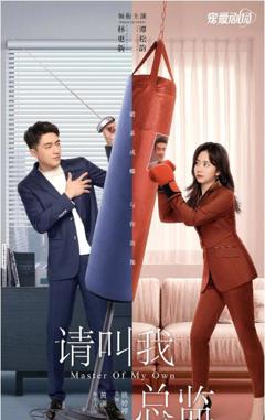 《请叫我总监》