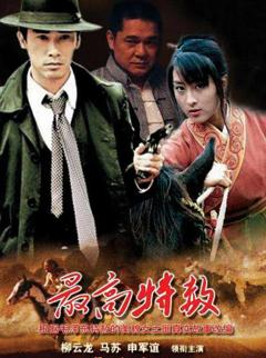 《大西南剿匪记》