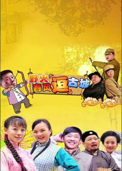 野火春风“逗”古城（TV版）