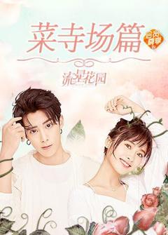 星花园菜寺场篇