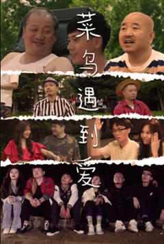 《菜鸟遇到爱》