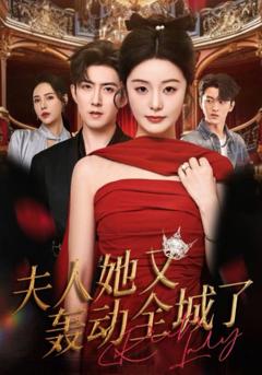 《夫人她又轰动全城了》