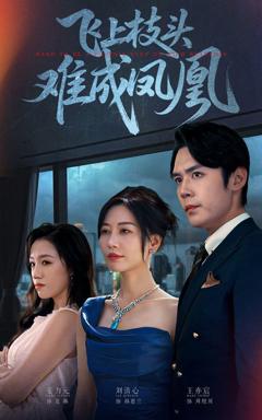 《飞上枝头难成凤凰》