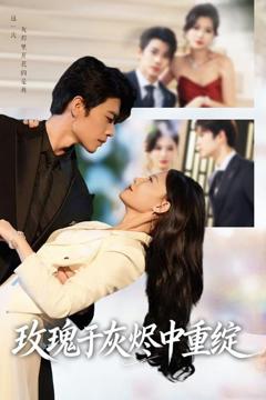 玫瑰于灰烬中重绽