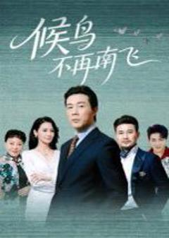 《候鸟不再南飞》