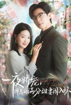 一夜娇宠，傅总的满分甜妻闯入怀