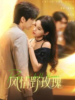 《风情野玫瑰》
