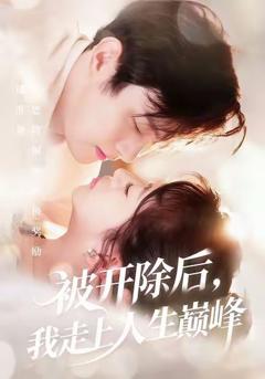《被开除后我走上人生巅峰》