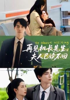 《再见机长先生夫人已读不回》