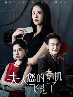 《夫人您的专机飞走了》