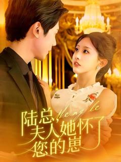 《陆总，夫人她怀了您的崽》