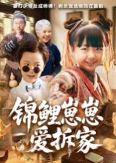 《锦鲤崽崽爱拆家》