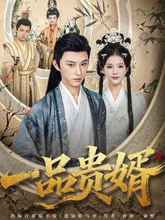 《一品贵婿》