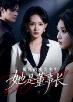 《被甩的实习生？她是董事长！》