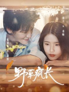 《野草疯长》