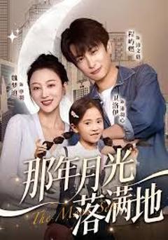 《那年月光落满地》